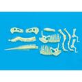 Brainstorm Schelet T-Rex reflectorizant
