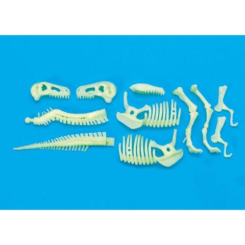 Brainstorm Schelet T-Rex reflectorizant
