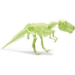 Schelet T-Rex reflectorizant