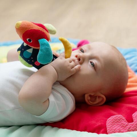 Fehn Jucarie dexteritate si dentitie - Catelus