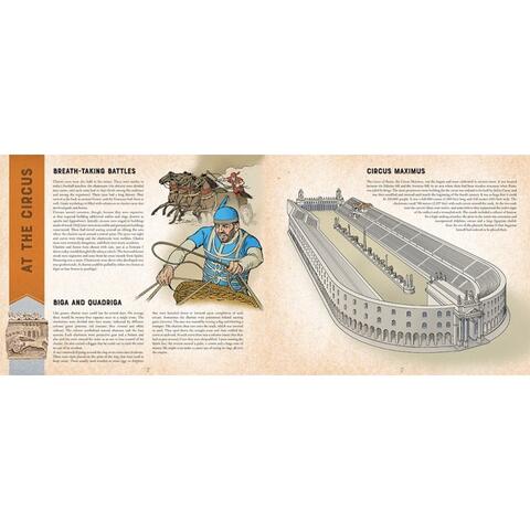 Sassi Puzzle 3D - Colosseum