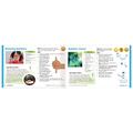 Hand2Mind H2Ohhh! Set experimente cu apa