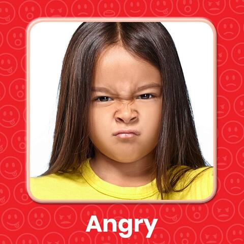 Hand2Mind Panoul emotiilor