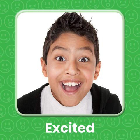 Hand2Mind Panoul emotiilor