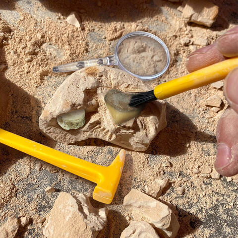 Educational Insights GeoSafari - Kit excavare fosile