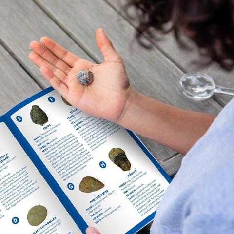 Educational Insights GeoSafari - Kit excavare fosile