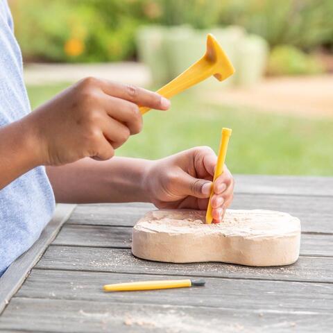 Educational Insights GeoSafari - Kit excavare fosile