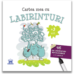 Cartea mea cu labirinturi