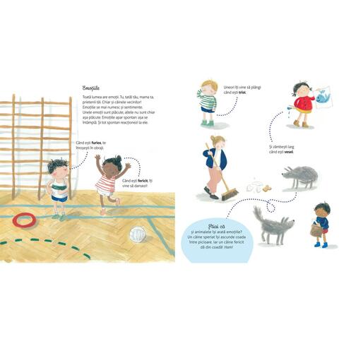 DPH Vreau sa stiu - Ce si cum simt