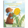 DPH Promisiunea ramane promisiune