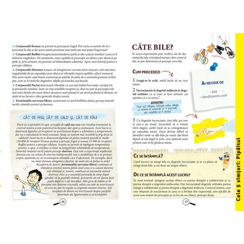 DPH Enciclopedia experimentelor in practica