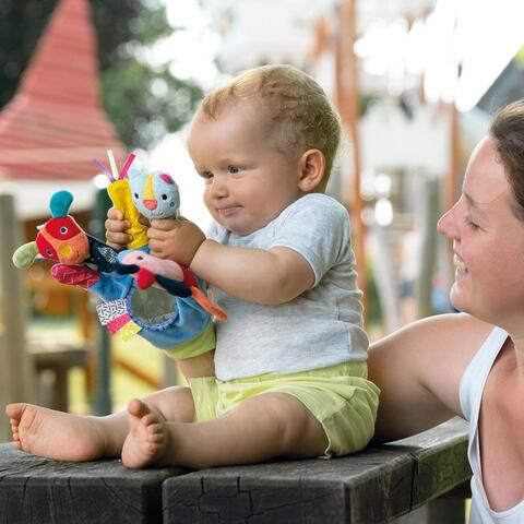 Fehn Manusa cu activitati - Prietenii culorilor