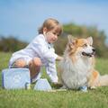BIGJIGS Toys Setul micului veterinar
