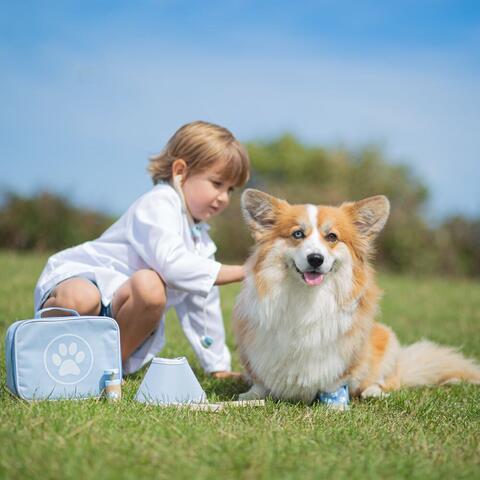 BIGJIGS Toys Setul micului veterinar