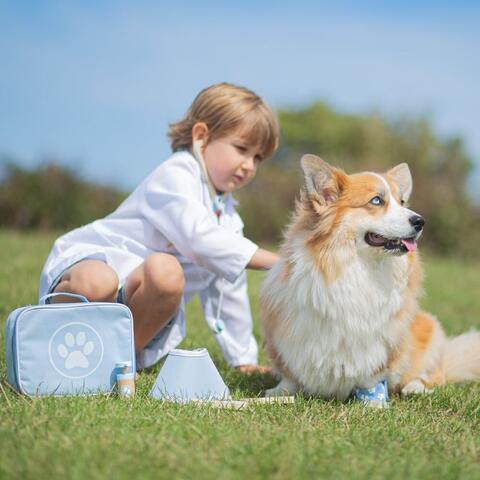 BIGJIGS Toys Setul micului veterinar
