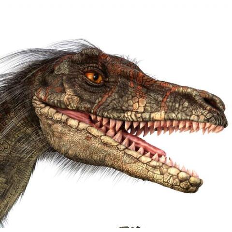 Natural History Museum Proiector tip lanterna - Dinozauri