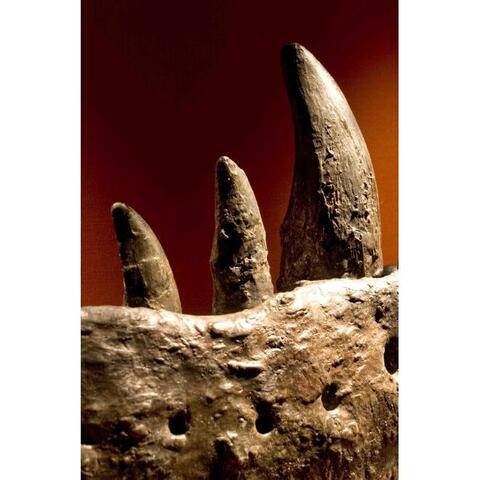 Natural History Museum Proiector tip lanterna - Dinozauri