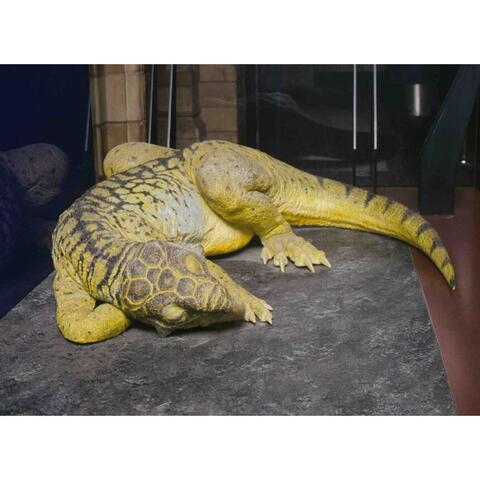 Natural History Museum Proiector tip lanterna - Dinozauri