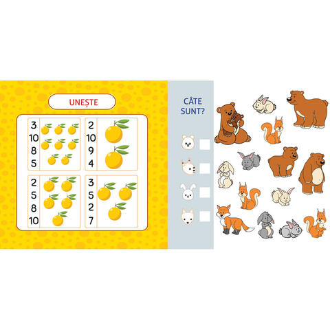 DPH Activitati matematice pentru prescolari