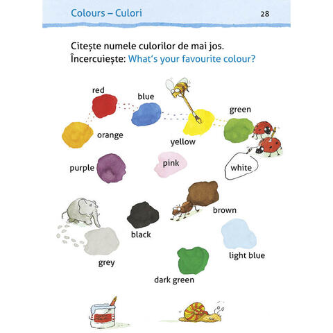 DPH Micul meu dictionar englez interactiv