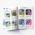 Educational Insights GeoSafari - Microscop Kidscope