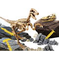 LISCIANI Experimentele micului geniu - Kit paleontologie Velociraptor