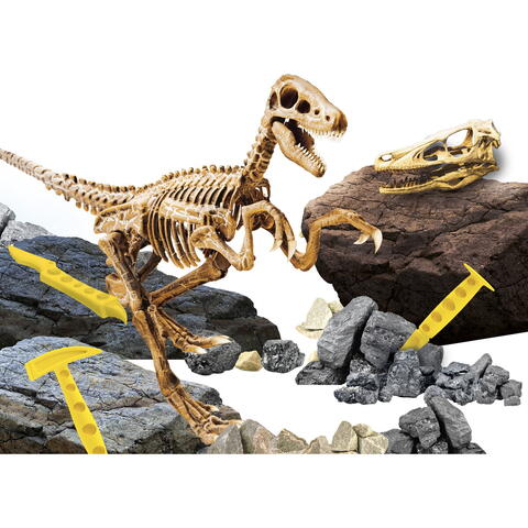 LISCIANI Experimentele micului geniu - Kit paleontologie Velociraptor