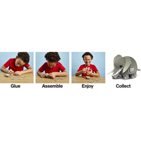 Brainstorm Model 3D - Elefant