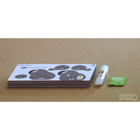 Brainstorm Model 3D - Ursulet Koala