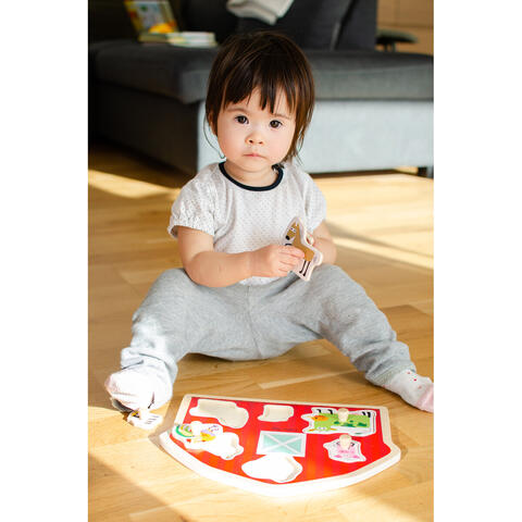 Barbo Toys Puzzle din lemn - Casuta animalutelor