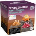 Science Can Set experimente - Cristal si dinozaur (Ankylosaurus)