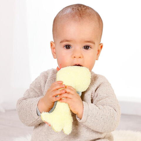 Fehn Jucarie pentru dexteritate - Dinozaur