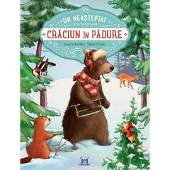 Un neasteptat Craciun in padure