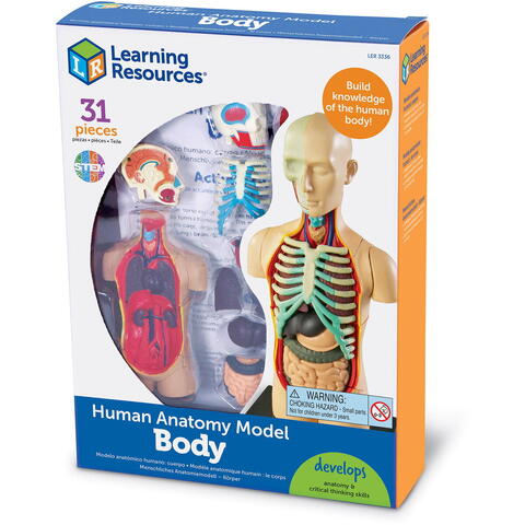 Learning Resources Macheta corpul uman - RESIGILAT
