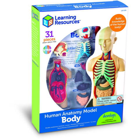 Learning Resources Macheta corpul uman - RESIGILAT