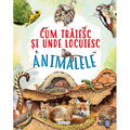 GIRASOL Cum traiesc si unde locuiesc animalele