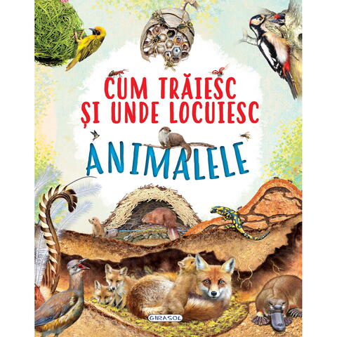 GIRASOL Cum traiesc si unde locuiesc animalele
