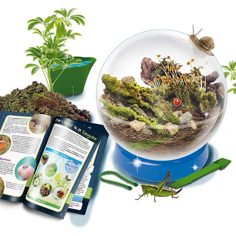 LISCIANI Experimentele micului geniu - Habitate si ecosisteme