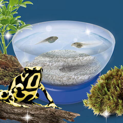 LISCIANI Experimentele micului geniu - Habitate si ecosisteme