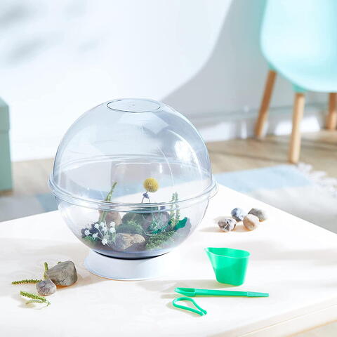 LISCIANI Experimentele micului geniu - Habitate si ecosisteme - RESIGILAT