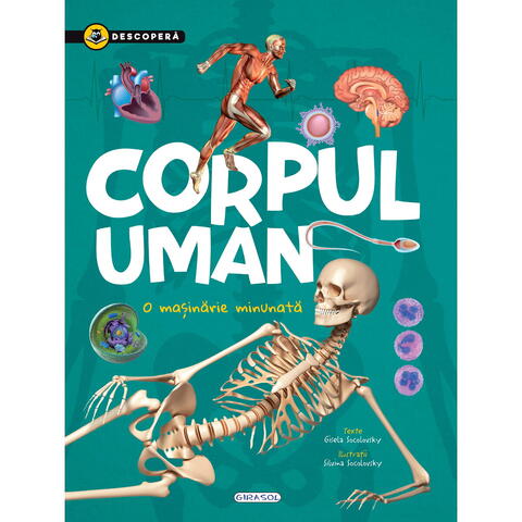 GIRASOL Descopera - Corpul uman