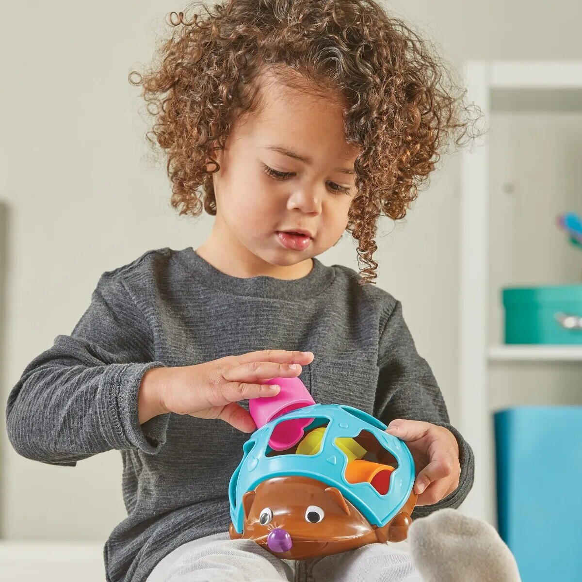 Joc pentru sortat - Ariciul Spike [4]