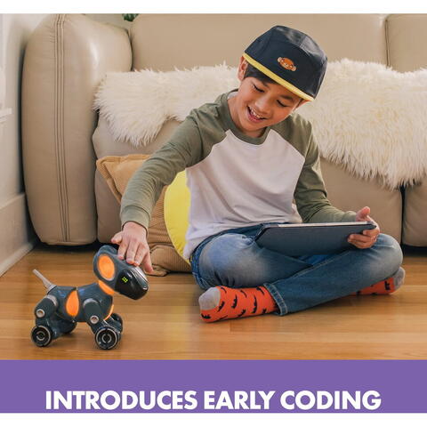 Educational Insights Pyxel - Prietenul programatorului
