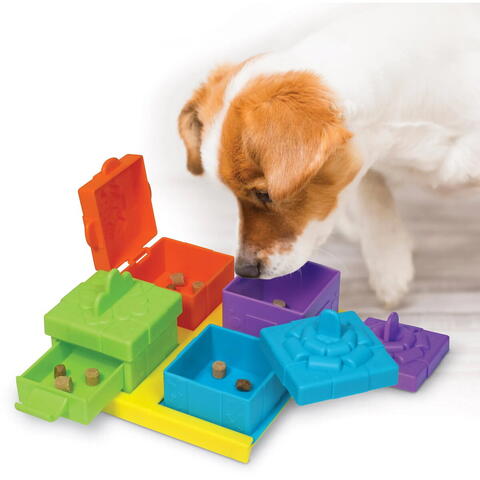 Brightkins Set dresaj caini - Jucarie interactiva pentru recompense petrecere surpriza