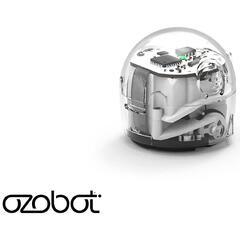 Robot Bit + Kitul incepatorului
