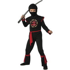 Costum de carnaval - Ninja Dragon