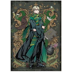 Puzzle Harry Potter - Draco Malfoy (250 piese)