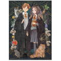 Dodo Puzzle Harry Potter - Hermione si Ronald ( 300 piese)