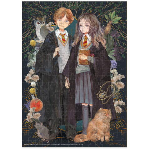 Dodo Puzzle Harry Potter - Hermione si Ronald ( 300 piese)