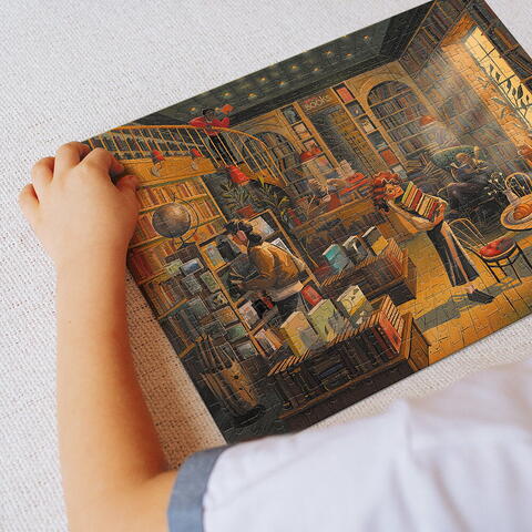 Dodo Puzzle - Libraria (300 piese)